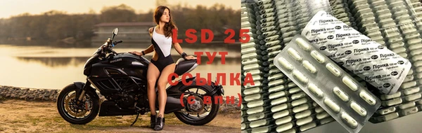 крисы Бугульма