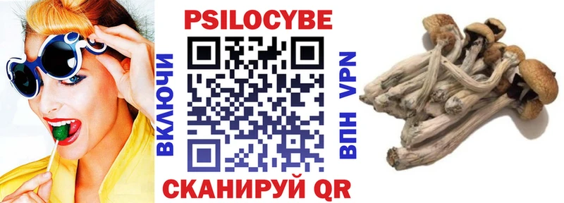 Галлюциногенные грибы Psilocybine cubensis  дарнет шоп  Видное 